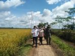 GUBERNUR MENINJAU FOOD ESTATE