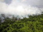 KARHUTLA MASA KELAM MOMEN KELAM: Kebakaran hutan yang terjadi di wilayah Kabupaten Kapuas pada 2019 lalu. (FOTO: DENAR/KALTENG POS)
