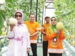 DUKUNG PETANI MILENIAL: Ketua Komisi II DPRD Kalteng, Hj Siti Nafsiah (kiri), saat mengunjungi lokasi Petani Milenial Melon Hidroponik, di Kota Palangka Raya, barubaru ini.