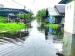 TERGENANG: Banjir yang melanda Desa Dadahup Kecamatan Dadahup, Kabupaten Kapuas.