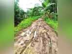 RUSAK: Kondisi jalan menuju Desa Sei Jangkit yang rusak parah