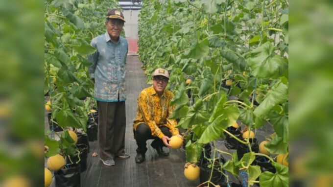 InShot_20250717_183056223