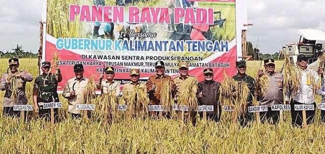 DPRD KAPUAS TANAMAN PANGAN: Ketua DPRD Kapuas Ardiansah turut melakukan panen raya padi bersama Gubernur Kalteng H Agustiar Sabran di Desa Terusan Makmur, Senin (14/7)