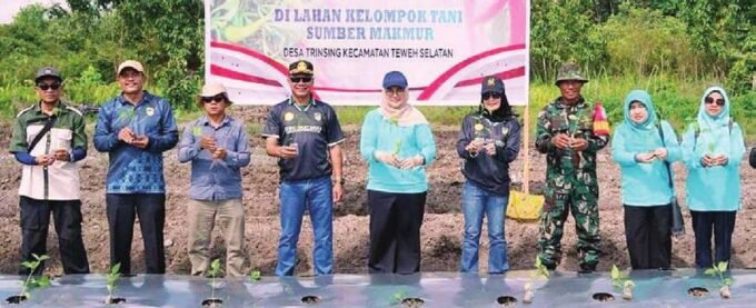 TANAM BERSAMA: Anggota DPRD Barito Utara, Ardianto (tiga dari kiri) menanam di lahan Kelompok Tani Sumber Makmur Desa Tringsing, Sabtu (2/8).