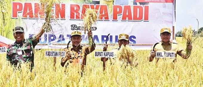 KAPUAS PANGAN: Bupati Kapuas H Muhammad Wiyatno didampingi Wakil Bupati Kapuas Dodo melaksanakan Panen Raya Padi di Desa Anjir Serapat Tengah Kecamatan Kapuas Timur, Senin (25/8).