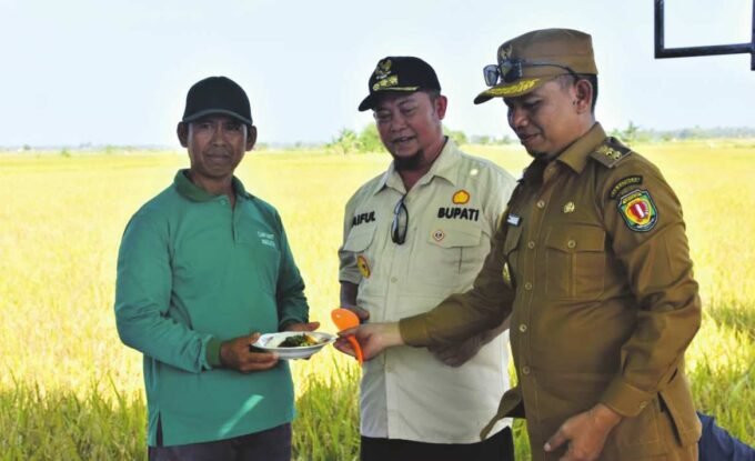 PANEN RAYA: Bupati Katingan, Saiful dan Wakil Bupati Katingan, Firdaus mengikuti acara syukuran di kegiatan panen raya di Desa Jaya Makmur, Kecamatan Katingan Kuala, Selasa (5/8).