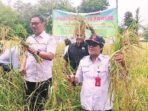 PALANGKA RAYA PANEN: Plt Asisten Pemerintahan dan Kesejahteraan Rakyat Kota Palangka Raya, Gloriana Aden bersama Kepala DPKP Kota Palangka Raya, Sugiyanto beserta petani memanen padi, di Jalan Tjilik Riwut Km 30, Rabu (20/8).