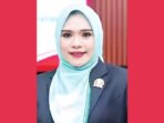 Dina Maulidah, Wakil Ketua I DPRD Murung Raya