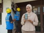 pln