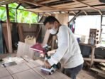pln ekonomi rakyat