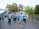 pln run