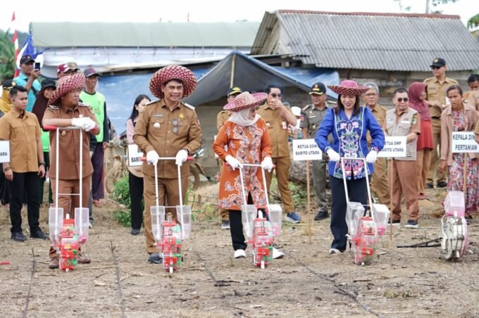 TANAM BERSAMA: Bupati Barito Utara H. Shalahuddin, bersama Wakil Bupati Felix Soenadi Y Tingan ikut menanam jagung hibrida pada kegiatan tanam bersama yang dipusatkan di Desa Mampuak, Kecamatan Teweh Timur, Senin (3/11).