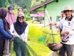 BIBIT IKAN: Kepala DKPP Kabupaten Barito Utara H Siswandoyo bersama para pegawai dan masyarakat sekitar saat melakukan panen bibit ikan di Balai Perikanan dan Budi Daya Air Tawar Lahei, Kecamatan Lahei, Sabtu (4/10).