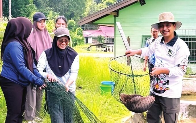 BIBIT IKAN: Kepala DKPP Kabupaten Barito Utara H Siswandoyo bersama para pegawai dan masyarakat sekitar saat melakukan panen bibit ikan di Balai Perikanan dan Budi Daya Air Tawar Lahei, Kecamatan Lahei, Sabtu (4/10).