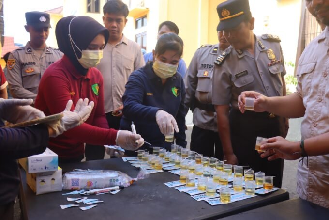 429ab3e6-6849-4187-a9a9-cb55c9466854