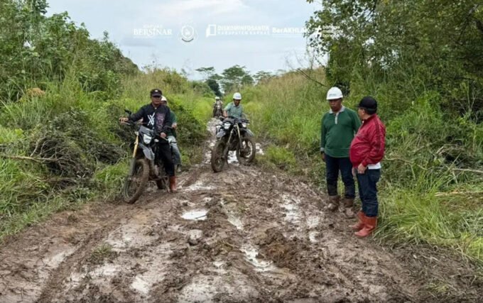 KUALA KAPUAS Bupati Kapuas HM Wiyatno melakukan pengecekan ruaa jalan di wilayah Kecamatan Kapuas Kuala dan Kecamatan Bataguh, Minggu (15/3)