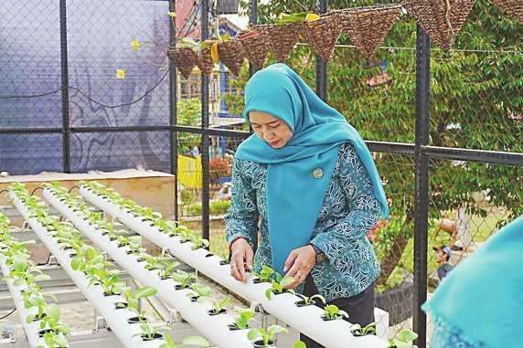 Ketua TP-PKK Barito Utara, Hj Maya Savitri Shalahuddin saat meninjau kebun Hidroponik, Selasa (24/2).