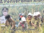Wakil Bupati Barsel, Kristianto Yudha mengikuti panen bersama sekaligus menyerahkan Alsintan di Kecamatan Dusun Utara.