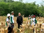 30.3 Ketua Komisi II DPRD Barito Utara, H Taufik Nugraha bersama Poktan Tamban Sari WKPP Wonorejo Kelurahan Melayu, Senin, pagi (30/3/2026).