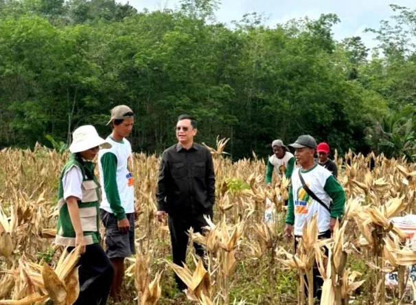 Ketua Komisi II DPRD Barito Utara, H Taufik Nugraha bersama Poktan Tamban Sari WKPP Wonorejo Kelurahan Melayu, Senin, pagi (30/3/2026).