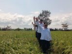 Sebagai kawasan lumbung padi, Kabupaten Kapuas terus memperluas lahan pertanian.