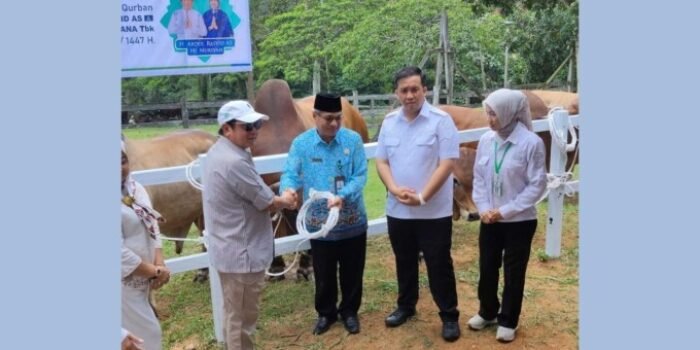 Lamandau Bupati Lamandau, Rizky Aditya Putra (dua dari kanan) menghadiri penyaluran hewan kurban H Abdul Rasyid AS Tahun 2026 di Sulung Ranch, Kabupaten Kotawaringin Barat, belum lama ini.