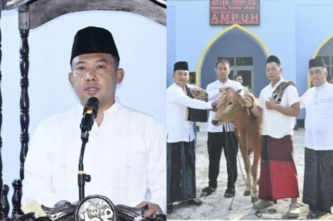 lanut