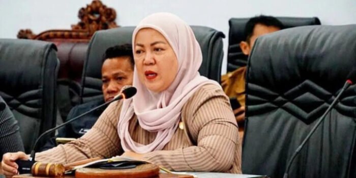 Hj Henny Rosgiaty Rusli SP MM, Wakil Ketua II DPRD Kabupaten Barito Utara