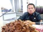 Anggota DPRD Kabupaten Barito Utara dari Partai Demokrat, Ardianto.