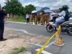 Wali Kota Palangka Raya, Fairid Naparin meninjau langsung Lokasi Jalan Lele yang menjadi titik lokasi kecelakaan, Senin (15/6).