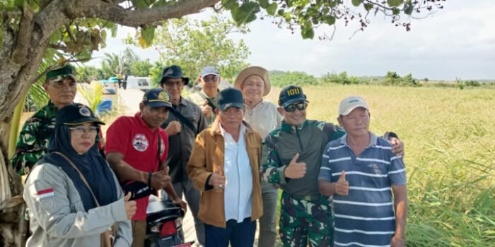 KAPUAS Bupati Kapuas HM Wiyatno saat melakukan pengecekan lahan padi di Desa Cemara Labat belum lama tadi.