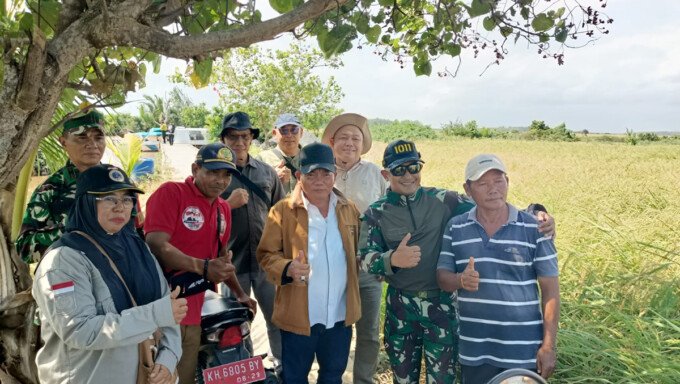 KAPUAS Bupati Kapuas HM Wiyatno saat melakukan pengecekan lahan padi di Desa Cemara Labat belum lama tadi.