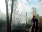 Kotim Pemadaman karhutla di Kotim.(BPBD)
