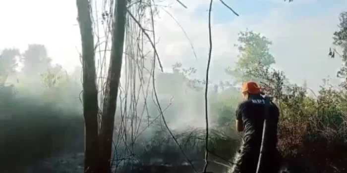 Pemadaman karhutla di Kotim.(BPBD)