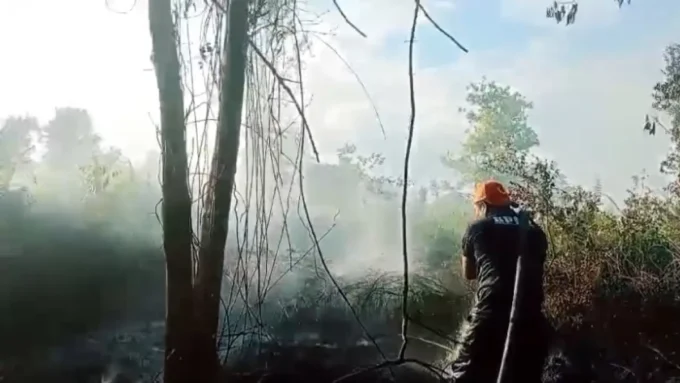 Kotim Pemadaman karhutla di Kotim.(BPBD)