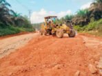 Lamandau Alat berat mulai dikerahkan ke lokasi proyek untuk mengerjakan peningkatan ruas Jalan Simpang Sepaku menuju Desa Perigi Raya, belum lama ini.