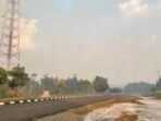 Tampak kabut asap di Kota Kuala Kurun mulai pekat, Jumat (7/8).