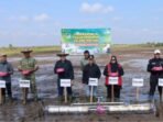 Kotim2 Bupati Kotim H.Halikinnor didampingi wakil Bupati Irawati dan Pj Sekda saat turut serta melakukan tanam padi serentak seluas 50.000 hektare yang digelar secara nasional, Desa Kuin Permai, Kecamatan Teluk Sampit, Jumat (31/7).