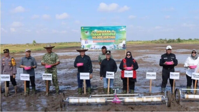 Kotim2 Bupati Kotim H.Halikinnor didampingi wakil Bupati Irawati dan Pj Sekda saat turut serta melakukan tanam padi serentak seluas 50.000 hektare yang digelar secara nasional, Desa Kuin Permai, Kecamatan Teluk Sampit, Jumat (31/7).