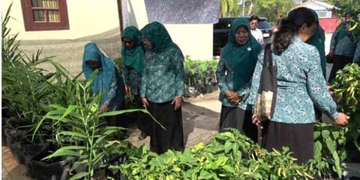Ketua TP PKK Kotim Khairiah Halikinnor. Meninjau langsung pelaksanaan program Aku Hatinya PKK Desa Pelang Kecamatan Mentawa Baru Ketapang, Rabu (12/8/2026). Ketua TP PKK Kotim Khairiah Halikinnor. Meninjau langsung pelaksanaan program Aku Hatinya PKK Desa Pelang Kecamatan Mentawa Baru Ketapang, Rabu (12/8/2026).