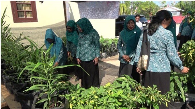 Ketua TP PKK Kotim Khairiah Halikinnor. Meninjau langsung pelaksanaan program Aku Hatinya PKK Desa Pelang Kecamatan Mentawa Baru Ketapang, Rabu (12/8/2026). Ketua TP PKK Kotim Khairiah Halikinnor. Meninjau langsung pelaksanaan program Aku Hatinya PKK Desa Pelang Kecamatan Mentawa Baru Ketapang, Rabu (12/8/2026).