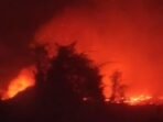 WhatsApp Image 2026-08-11 at 16.05.01 Kebakaran hutan dan lahan atau karhutla di Kabupaten Kotawaringin Barat (Kobar), Selasa (11/8/2026)