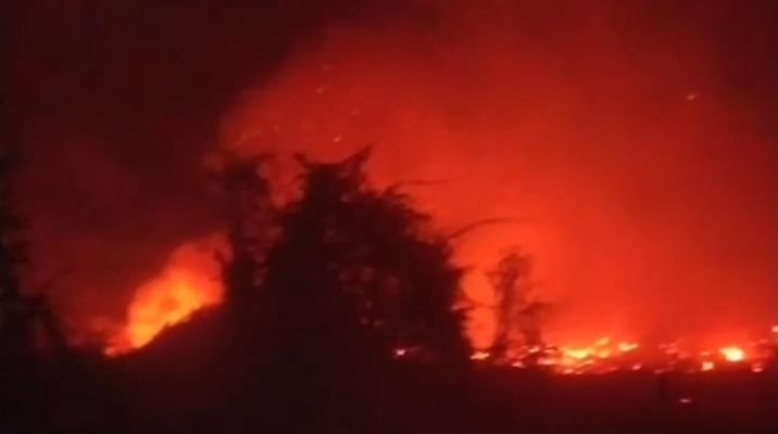 Kebakaran hutan dan lahan atau karhutla di Kabupaten Kotawaringin Barat (Kobar), Selasa (11/8/2026)
