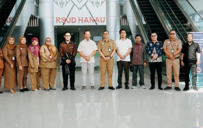 rsud hanau