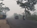 Dampak kebakaran hutan dan lahan mengakibatkan kabut asap di kota Palangka Raya. Dampak kebakaran hutan dan lahan mengakibatkan kabut asap di kota Palangka Raya.