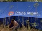 dinsos