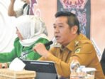 Felix Sonadie, Wakil Bupati Barito Utara