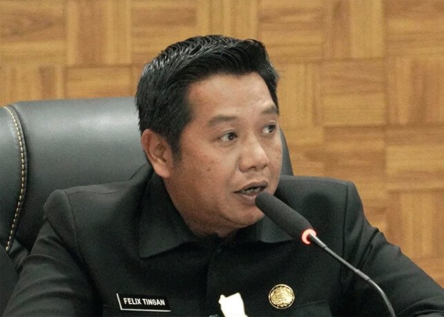 Wakil Bupati Barito Utara, Felix Sonadie Y Tingan