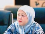 Hj Henny Rosgiaty Rusli, Anggota DPRD Kabupaten Barito Utara