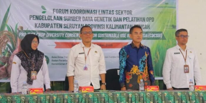 sda seruyan